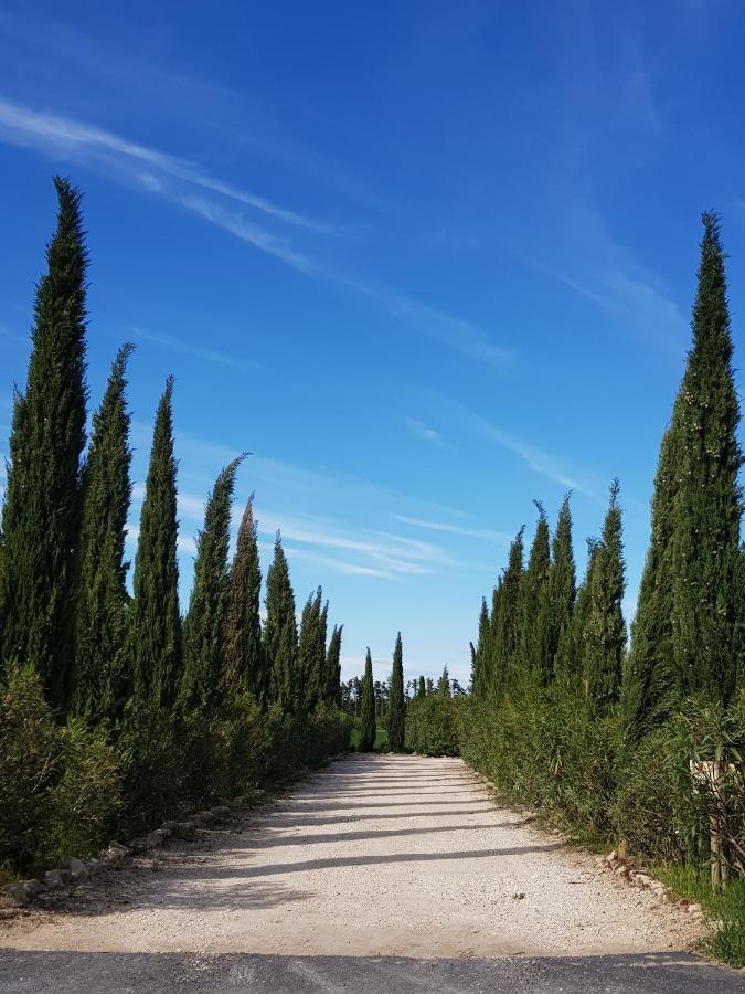 Le Mas Saint Jean Mézoargues Εξωτερικό φωτογραφία